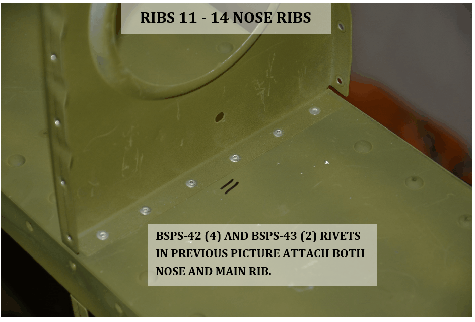 rib11thru14nose