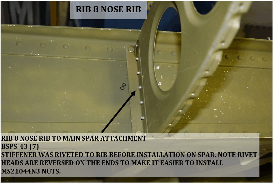 rib8nose