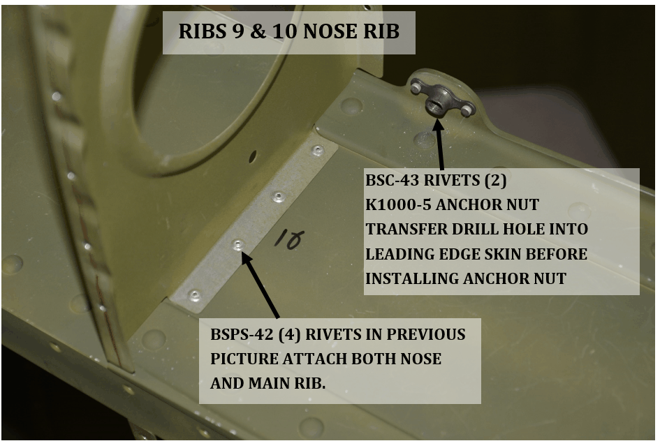 rib9and10nose